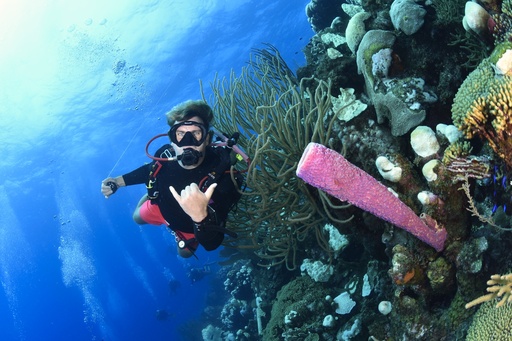 Refresher Dive 