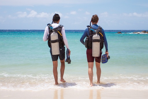 2 Tank Lionfish Hunt Dive